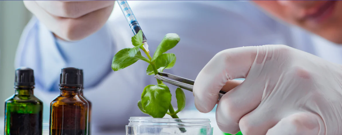 Día Internacional de la Biotecnología: la ciencia que impulsa innovación y desarrollo