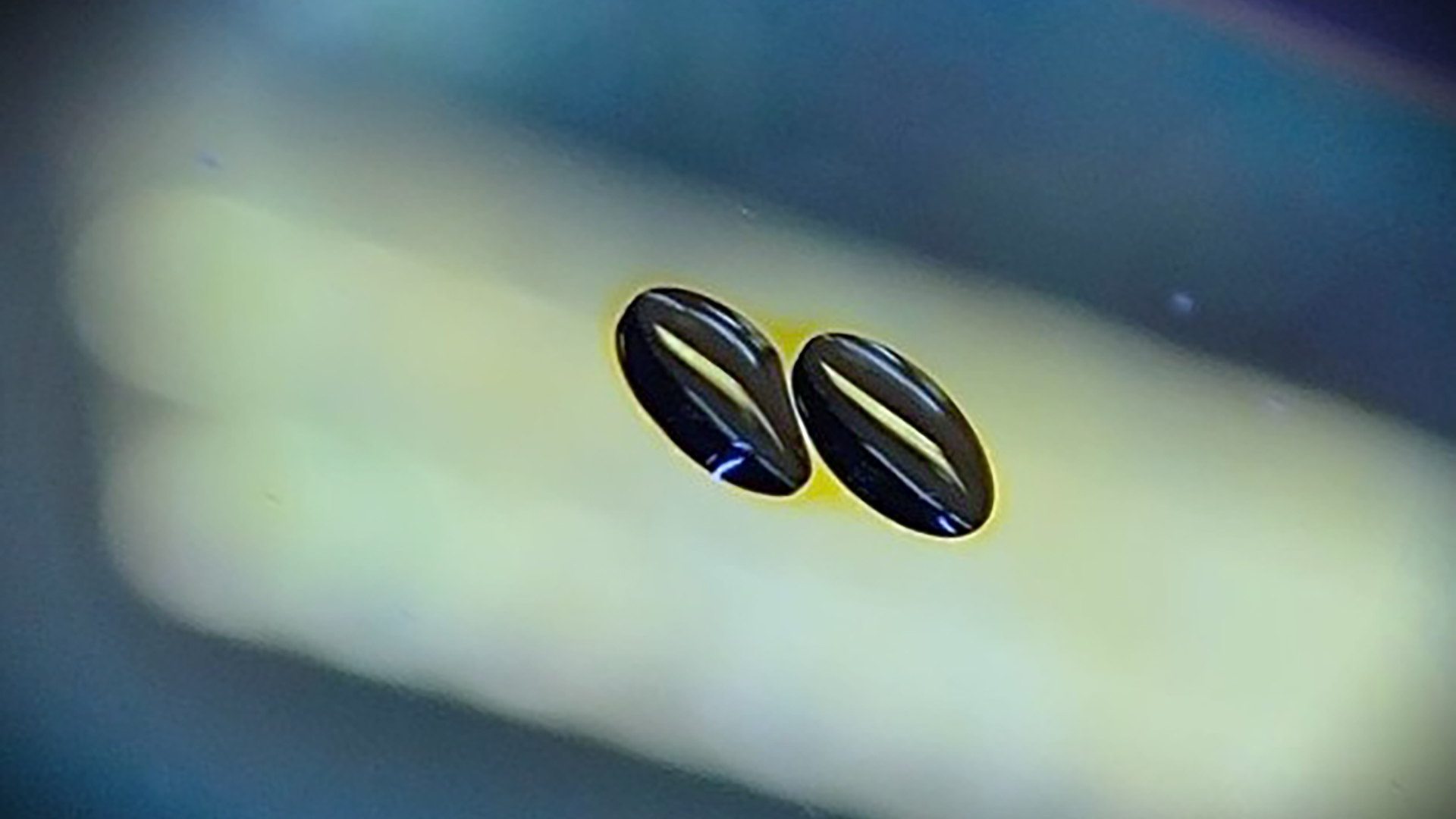 Descubren un comportamiento revolucionario del agua con aplicaciones en Argentina y la nanotecnología 