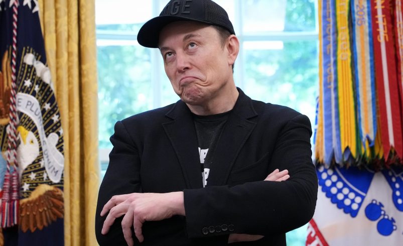 Trump vs Musk: la disputa por la ciudadanía estadounidense 