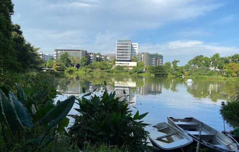 Singapur apuesta al turismo verde con jardines terapéuticos que cuidan la salud mental 