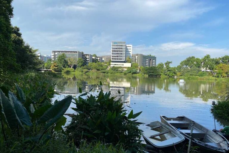 Singapur apuesta al turismo verde con jardines terapéuticos que cuidan la salud mental 
