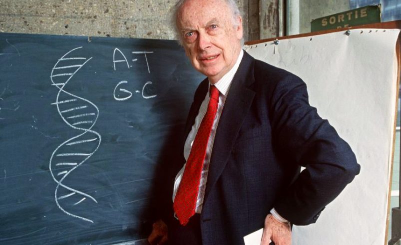 James Watson, a Central Figure in the Scientific Revolution of DNA, Dies at 97