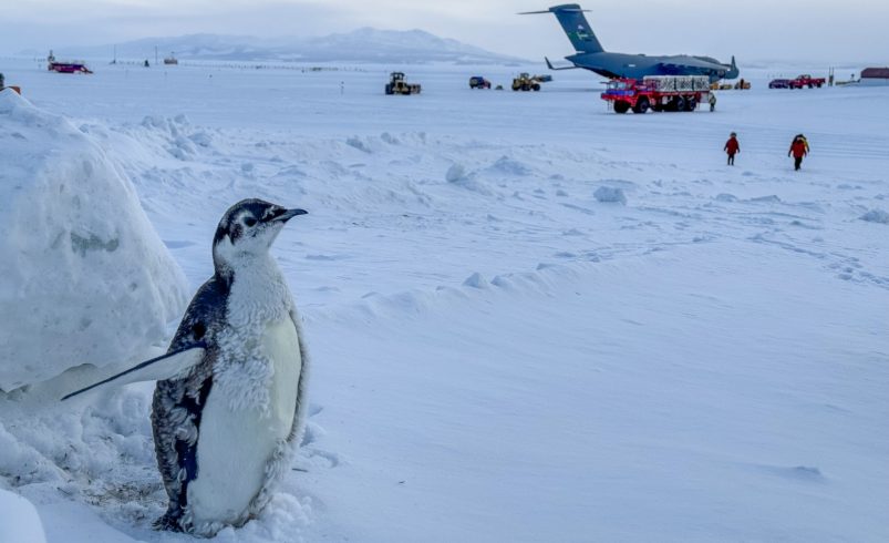 Estados Unidos refuerza su presencia polar: un rompehielos histórico rescata a un crucero atrapado en la Antártida