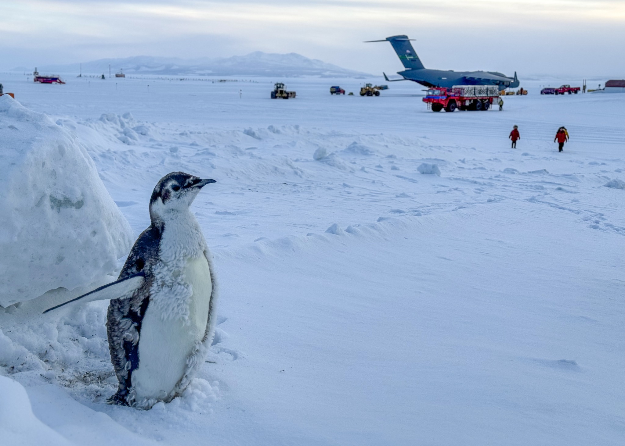 Estados Unidos refuerza su presencia polar: un rompehielos histórico rescata a un crucero atrapado en la Antártida