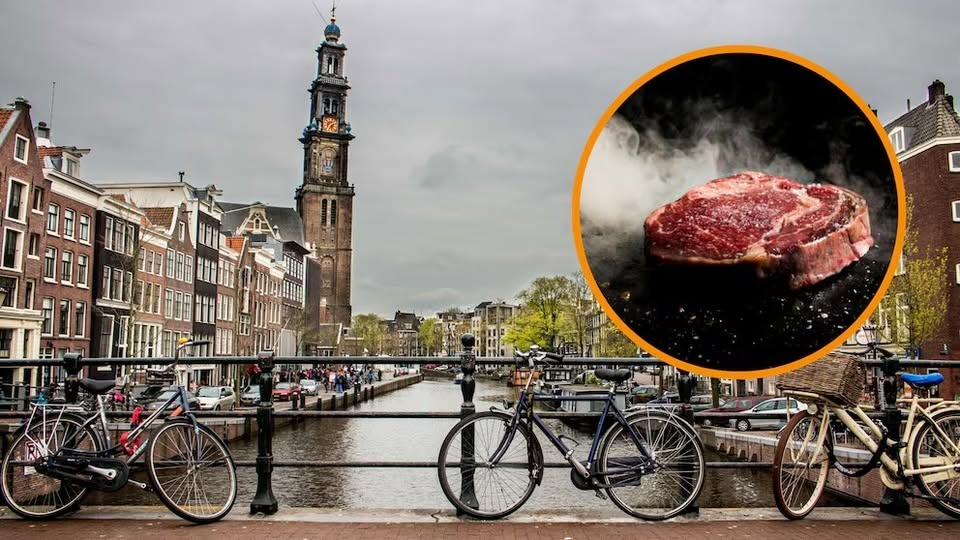 Ámsterdam veta la publicidad de carne y combustibles fósiles en el espacio público por razones climáticas